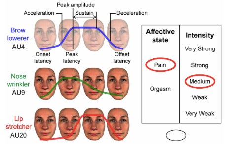 Female Orgasm Facial Expression